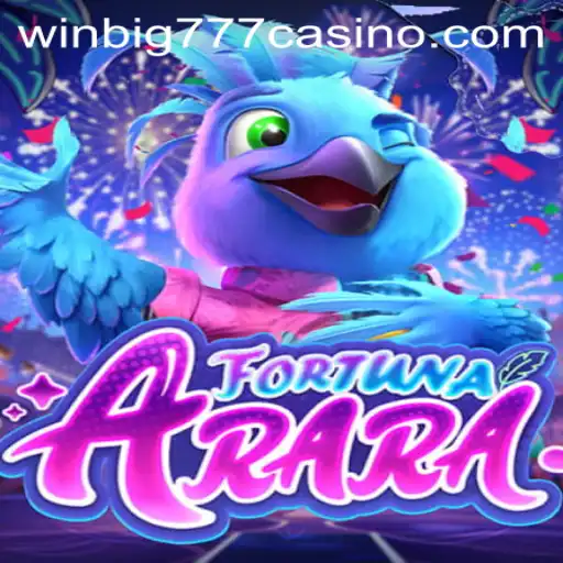 Exploring FortunaArara: Navigating the Exciting World of WINBIG777 CASINO