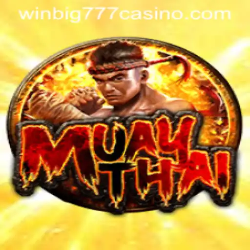 Exploring the Thrilling World of MuayThai at WINBIG777 CASINO