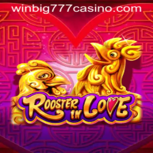 Discover RoosterInLove: The Exciting Game at WINBIG777 CASINO